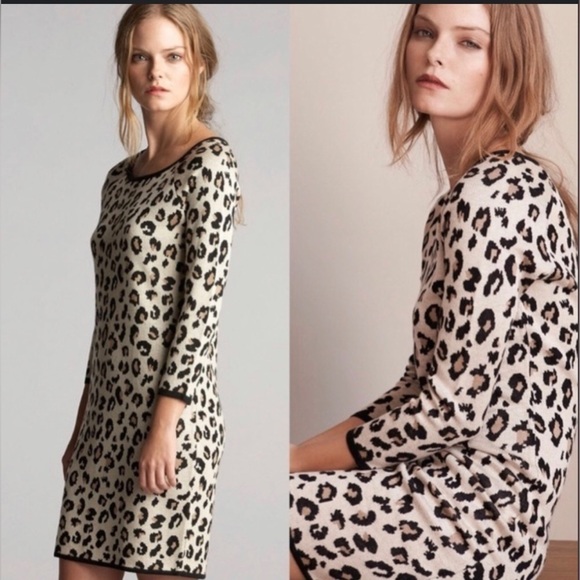 Velvet by Graham & Spencer Womens Animal Print Bodycon Sweater Dress Size Medium - Picture 1 of 6
